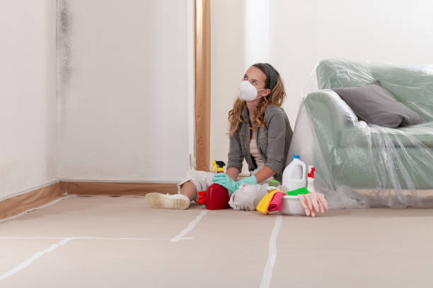 Reliable Mold Remediation contractor in Arlington Heights, IL by WQB Mold Removal